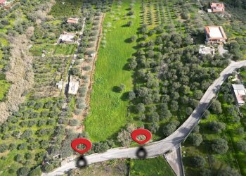 Foto 4 - Agricultural land Strada Comunale Torre Amalfitano, Bagheria - photo 3