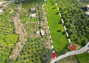 Foto 5 - Agricultural land Strada Comunale Torre Amalfitano, Bagheria - photo 4