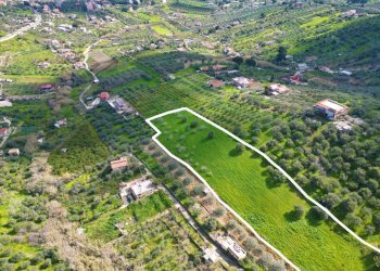 Foto 6 - Agricultural land Strada Comunale Torre Amalfitano, Bagheria - photo 5