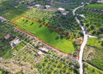 Foto 8 - Agricultural land Strada Comunale Torre Amalfitano, Bagheria - photo 7