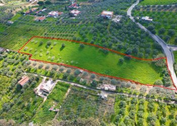 Foto 9 - Agricultural land Strada Comunale Torre Amalfitano, Bagheria - photo 8