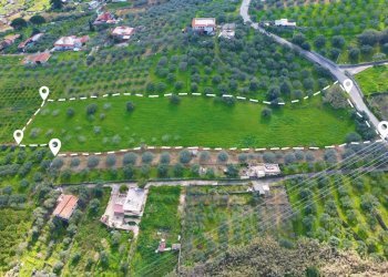 Foto 10 - Agricultural land Strada Comunale Torre Amalfitano, Bagheria - photo 9