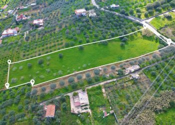 Foto 11 - Agricultural land Strada Comunale Torre Amalfitano, Bagheria - photo 10