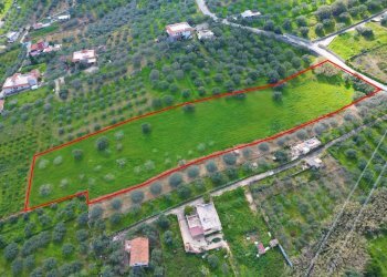 Foto 12 - Agricultural land Strada Comunale Torre Amalfitano, Bagheria - photo 11