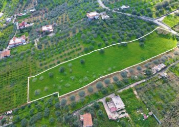 Foto 13 - Agricultural land Strada Comunale Torre Amalfitano, Bagheria - photo 12