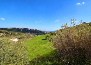 Foto 15 - Agricultural land Strada Comunale Torre Amalfitano, Bagheria - photo 14