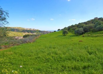 Foto 17 - Agricultural land Strada Comunale Torre Amalfitano, Bagheria - photo 16