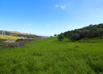 Foto 19 - Agricultural land Strada Comunale Torre Amalfitano, Bagheria - photo 18