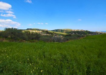 Foto 20 - Agricultural land Strada Comunale Torre Amalfitano, Bagheria - photo 19