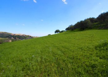 Foto 26 - Agricultural land Strada Comunale Torre Amalfitano, Bagheria - photo 25