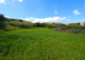 Foto 27 - Agricultural land Strada Comunale Torre Amalfitano, Bagheria - photo 26