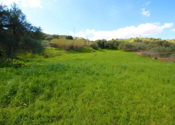 Foto 28 - Agricultural land Strada Comunale Torre Amalfitano, Bagheria - photo 27