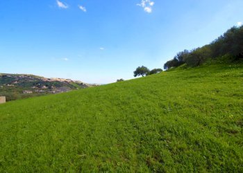 Foto 29 - Agricultural land Strada Comunale Torre Amalfitano, Bagheria - photo 28