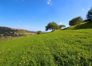 Foto 30 - Agricultural land Strada Comunale Torre Amalfitano, Bagheria - photo 29