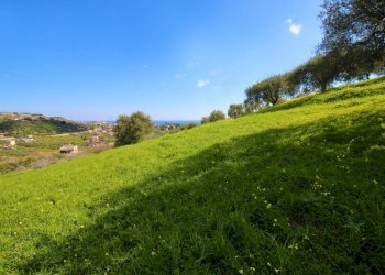Foto 39 - Agricultural land Strada Comunale Torre Amalfitano, Bagheria - photo 38