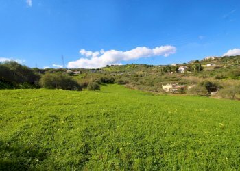 Foto 40 - Agricultural land Strada Comunale Torre Amalfitano, Bagheria - photo 39