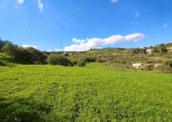 Foto 41 - Agricultural land Strada Comunale Torre Amalfitano, Bagheria - photo 40