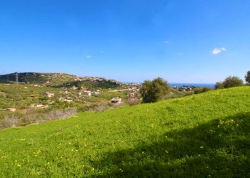 Foto 42 - Agricultural land Strada Comunale Torre Amalfitano, Bagheria - photo 41