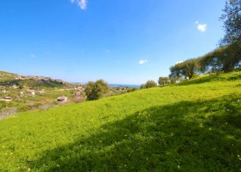 Foto 43 - Agricultural land Strada Comunale Torre Amalfitano, Bagheria - photo 42