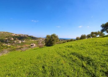 Foto 48 - Agricultural land Strada Comunale Torre Amalfitano, Bagheria - photo 47