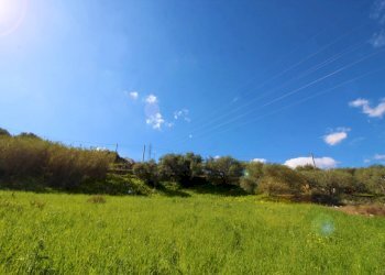 Foto 69 - Agricultural land Strada Comunale Torre Amalfitano, Bagheria - photo 68