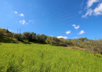 Foto 70 - Agricultural land Strada Comunale Torre Amalfitano, Bagheria - photo 69