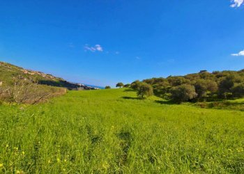 Foto 72 - Agricultural land Strada Comunale Torre Amalfitano, Bagheria - photo 71