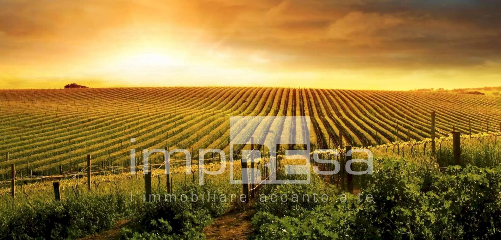 Foto 1 - Agricultural land Ormelle - photo 1