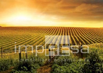 Foto 1 - Agricultural land Ormelle - photo 1