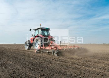 Foto 2 - Agricultural land Ormelle - photo 2