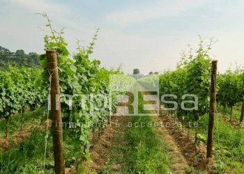 Foto 5 - Agricultural land Ormelle - photo 5