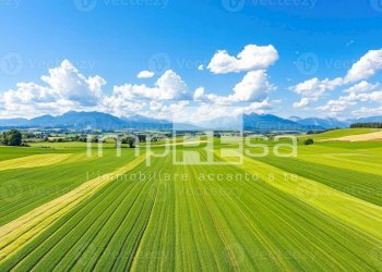 Foto 10 - Agricultural land Ormelle - photo 10