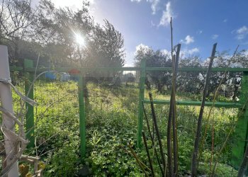 Giardino - Villa Bolognetta - foto 5