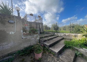 Giardino - Villa Bolognetta - foto 8