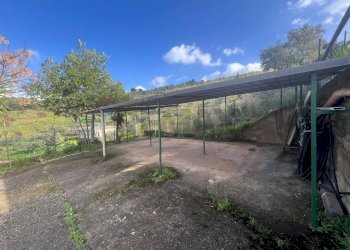 Giardino - Villa Bolognetta - foto 11