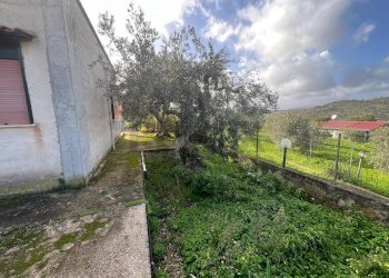 Giardino - Villa Bolognetta - foto 34