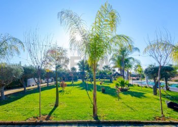 Giardino - Villa Contrada Gaudella, Castellaneta - foto 4