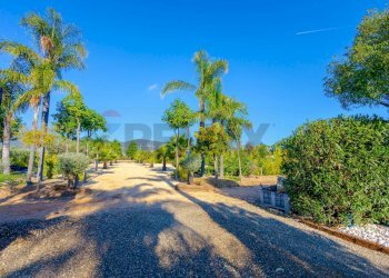Vista dell\'acqua - Villa Contrada Gaudella, Castellaneta - foto 35