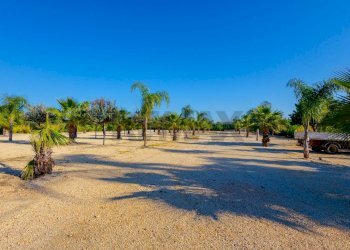 Non correlato - Villa Contrada Gaudella, Castellaneta - foto 36