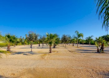 Non correlato - Villa Contrada Gaudella, Castellaneta - foto 37