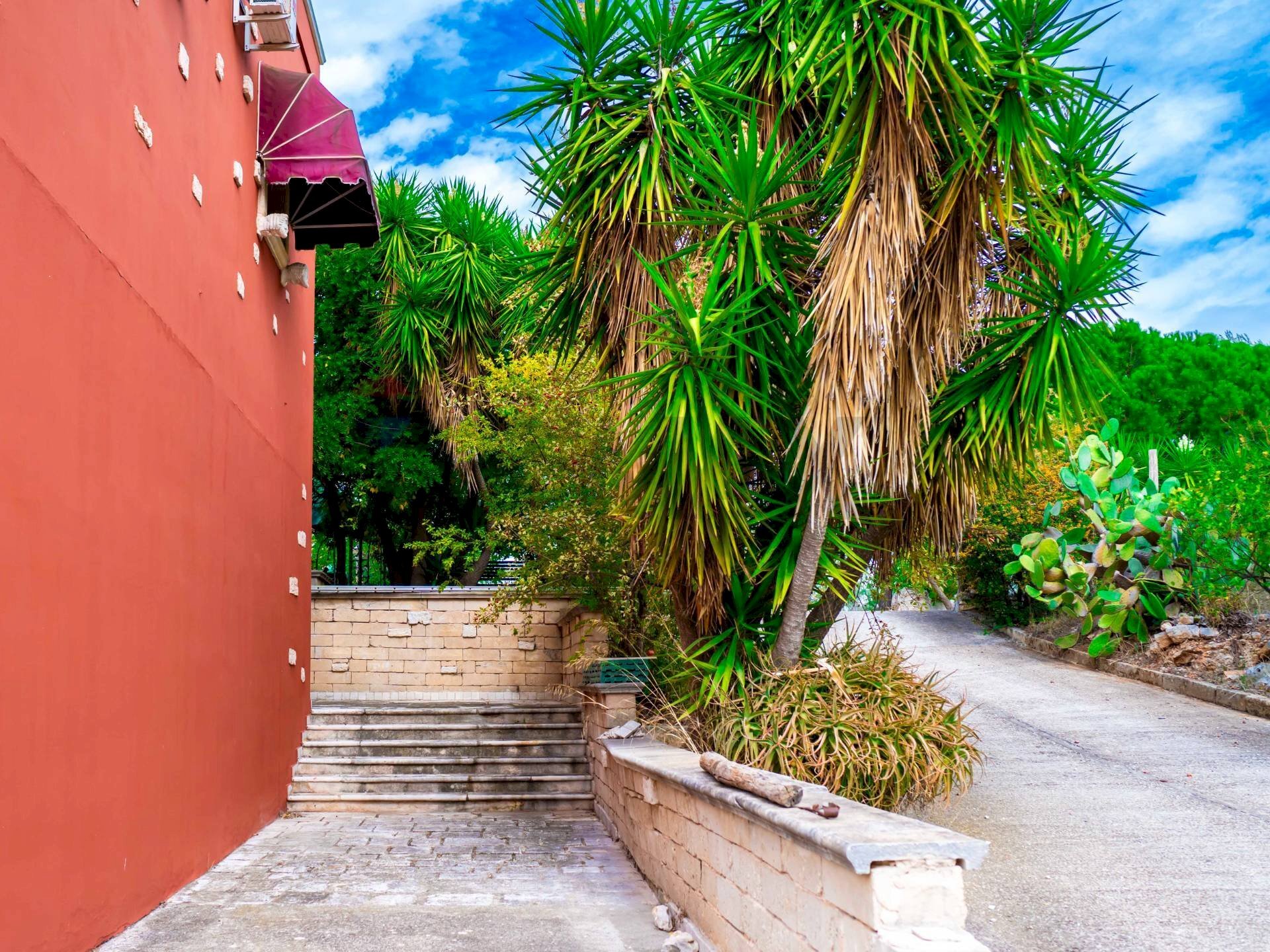 Giardino - Villa Via Randa
 
snc, Bitritto - foto 1