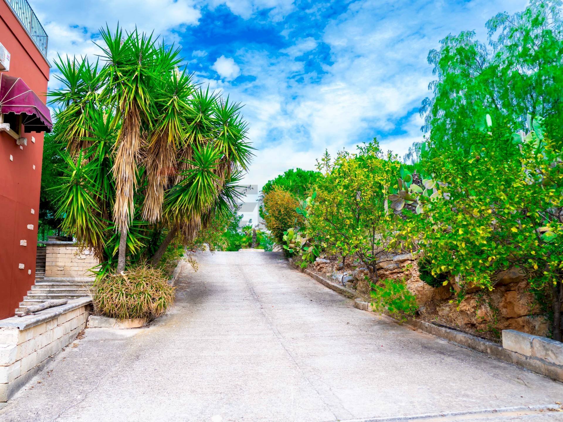 Giardino - Villa Via Randa
snc, Bitritto - foto 3