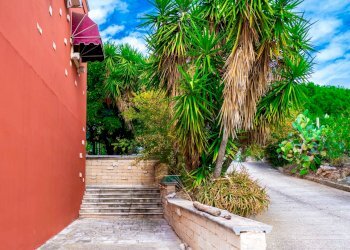 Giardino - Villa Via Randa
 
snc, Bitritto - photo 1