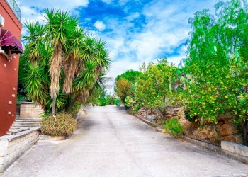 Giardino - Villa Via Randa
 
snc, Bitritto - photo 3