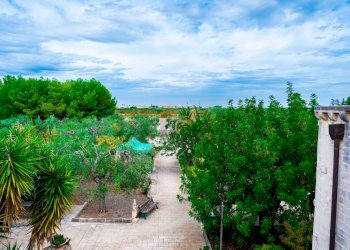 Giardino - Villa Via Randa
 
snc, Bitritto - photo 17