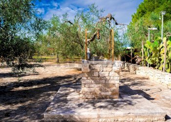 Giardino - Villa Via Randa
 
snc, Bitritto - photo 33