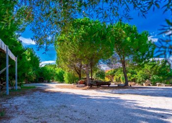 Giardino - Villa Via Randa
 
snc, Bitritto - photo 35