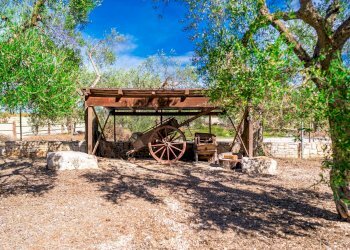 Giardino - Villa Via Randa
 
snc, Bitritto - photo 36