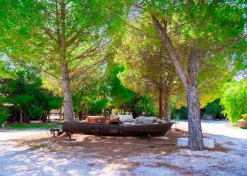 Giardino - Villa Via Randa
 
snc, Bitritto - photo 38