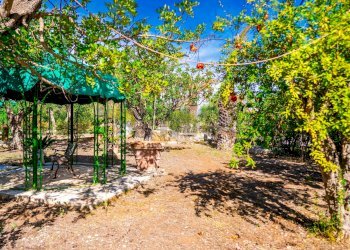 Giardino - Villa Via Randa
 
snc, Bitritto - photo 41